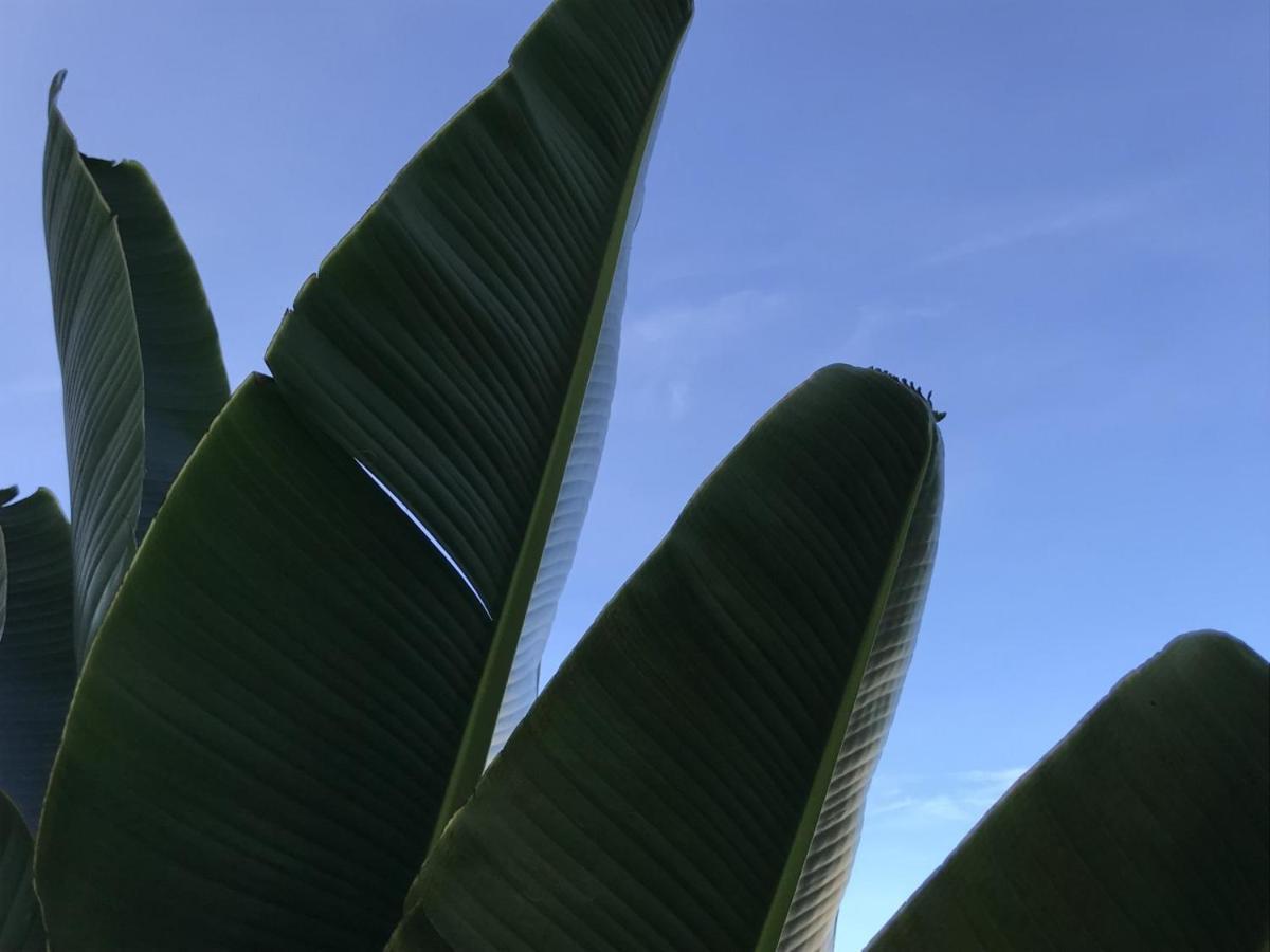 Encanto Das Flores Praia de Pipa Buitenkant foto